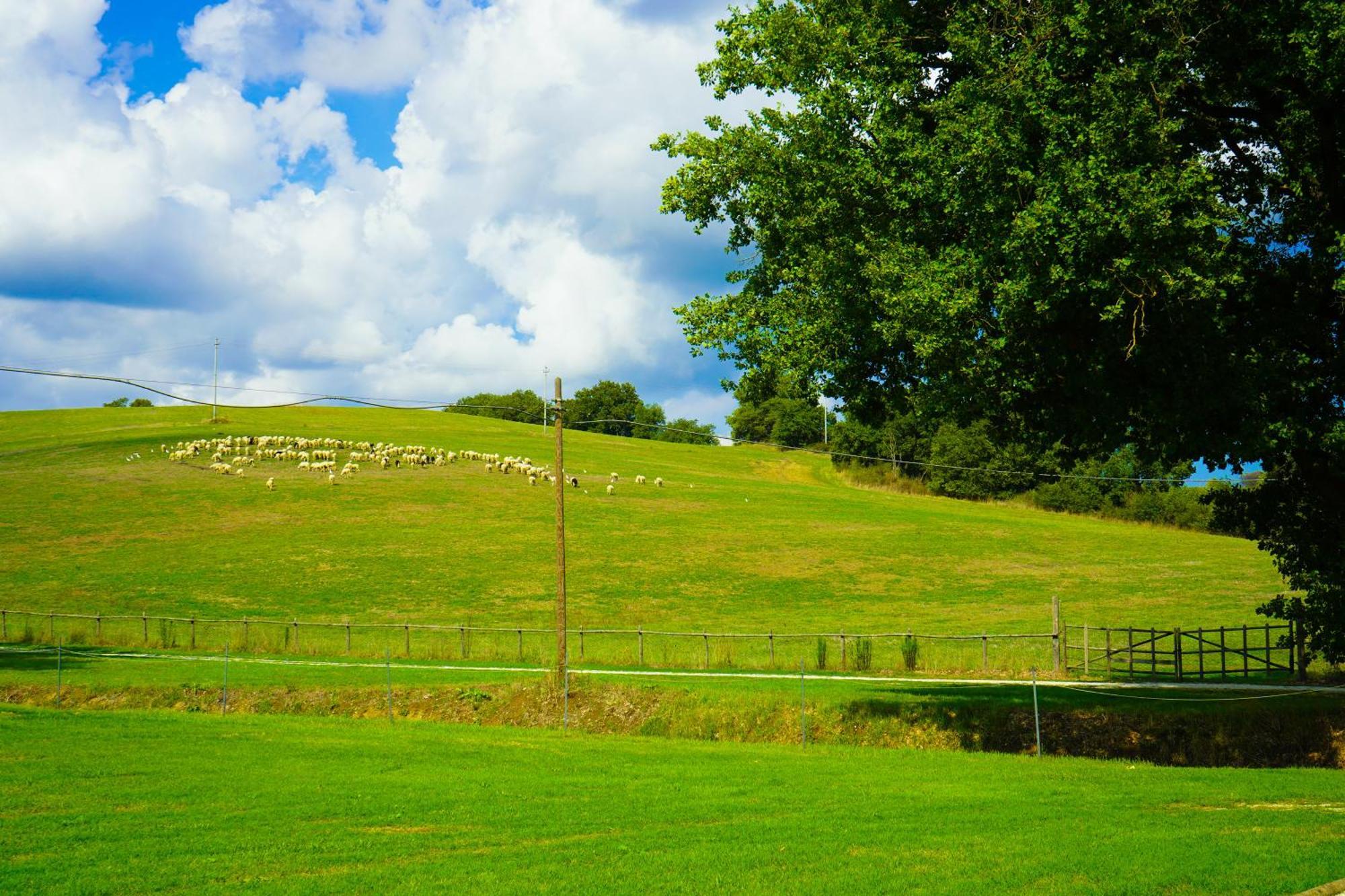 Borgo Pallavicini Mori Rom Exteriör bild